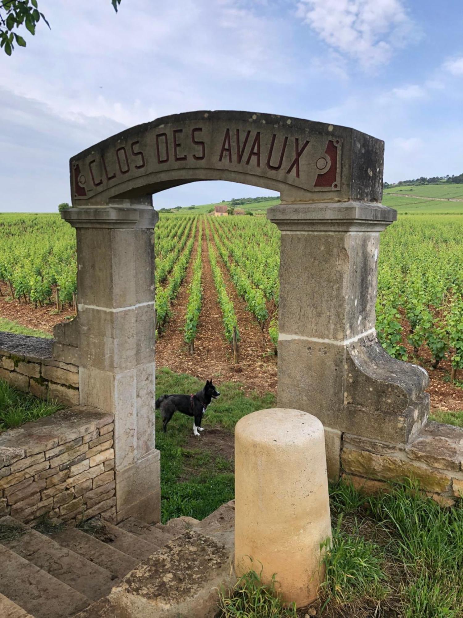 La Route Des Vins Apartment Beaune  Exterior foto